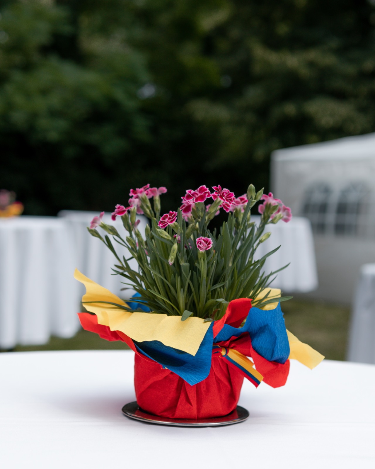 Conmemoración del Día de la Independencia de Colombia