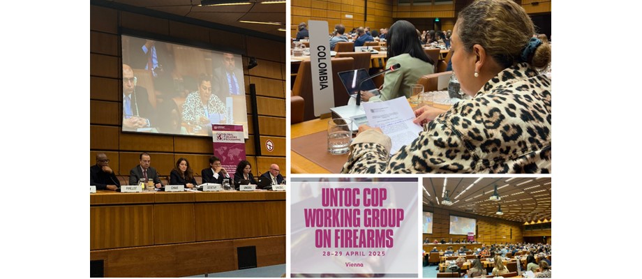 Colombia participa como observador en la 12º Sesión del Grupo de Trabajo sobre Armas de Fuego de la Convención de ONU contra la Delincuencia Organizada Trasnacional 