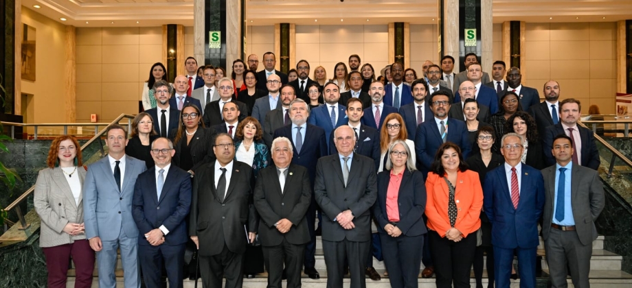 Colombia participa activamente en la 10ª Reunión del Grupo de Expertos sobre Desarrollo Alternativo en Lima
