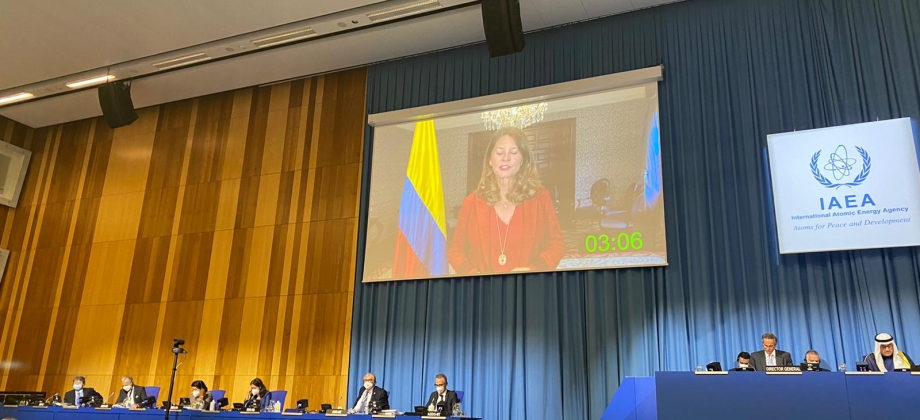 Vicepresidente y Canciller Martha Lucía Ramírez ratificó en la OIEA el compromiso de Colombia para impulsar los principios comunes de desarme y no proliferación
