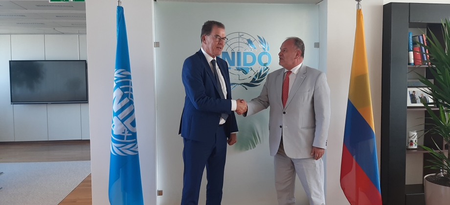 Embajador Ruiz se reúne con Director General de la ONUDI / UNIDO, para explorar oportunidades de cooperación y alianzas para el desarrollo industrial