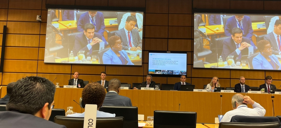 Colombia apoya soluciones multilaterales para enfrentar los delitos que afectan el medio ambiente durante su participación en el Grupo de Expertos de la UNTOC